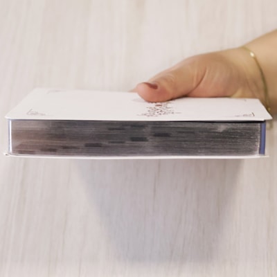 image_8196279e-62e9-4b45-8ae3-57497da4a711