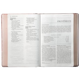 Segunda imagem do produto Bíblia Sagrada Católica | NTLH | Letra Grande | Capa Dura Rosa com Lombada em Tecido