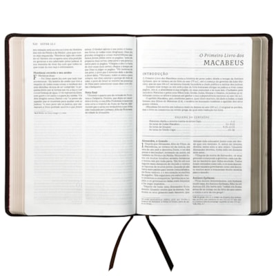 image_bf2f8782-c40b-4ce1-a51b-ff94c133a67a