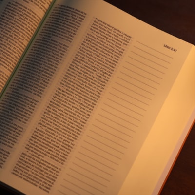 image_8ce99691-15f5-4320-9a58-b35ec8d208ba