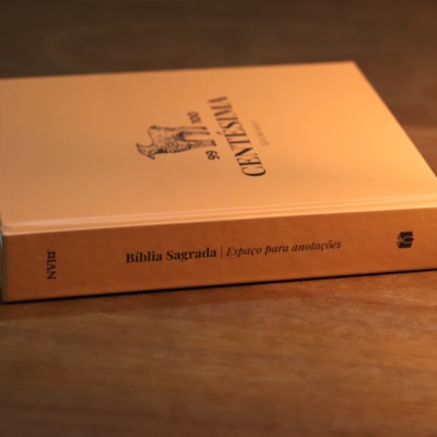 image_b864a36e-2846-4aeb-9b5b-5450ec4c86d6