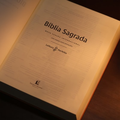 image_19db98e6-70cb-443a-9942-fd1aec589ef2