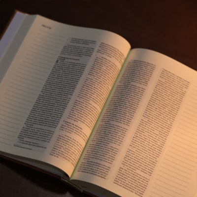 image_fe80f390-c882-4a80-b019-fc8a3eb285d3