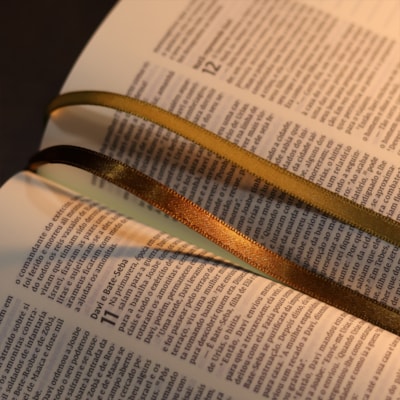 image_a4b8d7bb-26d3-4e70-befb-a57e16eb7dc1