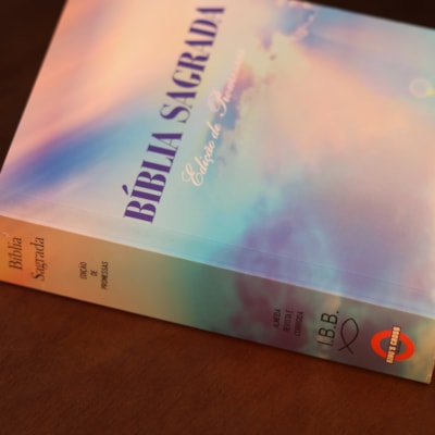 image_6f9eb375-264c-4137-a374-adbd3d664b21