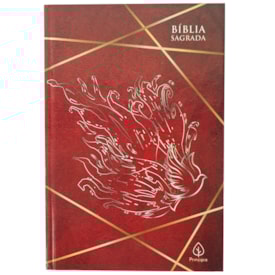 Bíblia Sagrada Cheios do Espírito Santo | ACF | Letra Normal | Capa Dura