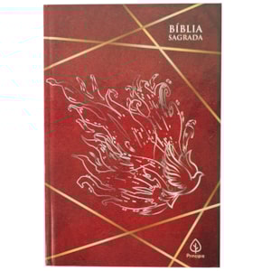 Bíblia Sagrada Cheios do Espírito Santo | ACF | Letra Normal | Capa Dura