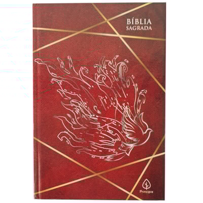 Imagem Principal - ecd609d3-4fc0-4547-a2a0-f04f9cbed78a