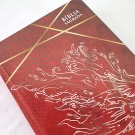 Segunda imagem do produto Bíblia Sagrada Cheios do Espírito Santo | ACF | Letra Normal | Capa Dura