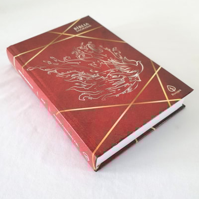 image_3ec2089f-082e-459c-8bf2-101fa608b0da