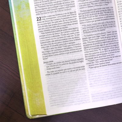 image_0a33674d-23a1-4b8b-b436-34af8cfd7618