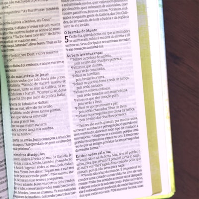 image_8ca03f80-4bd9-427f-a076-a7f3d13a96e7