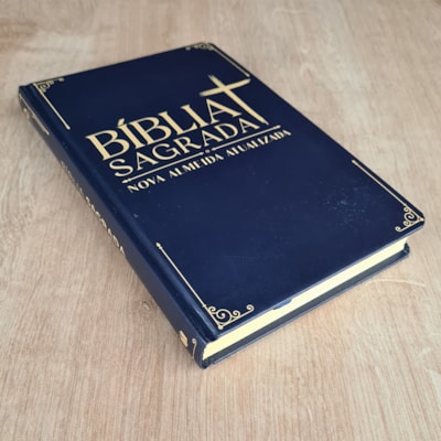 image_e43ea6d9-52c7-43f7-bcdf-92c7b3cd8ff7