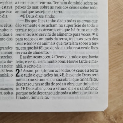 image_2d7d0381-bd4a-4bec-ab99-fcb9c43dedac