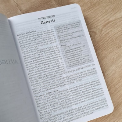 image_85e77526-3eb0-408b-9ca1-3bf5b8d75912