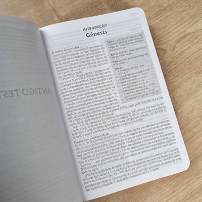 image_fa4d1bab-8a48-4584-94cd-b7f5489b57a2