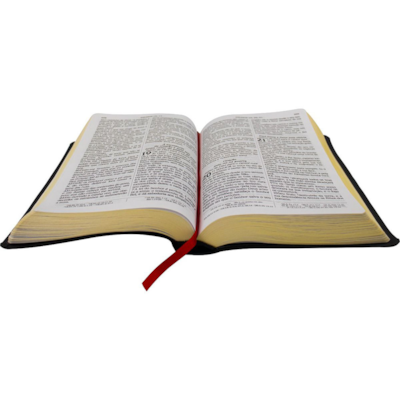 image_9d8ba556-cd13-4840-aced-6ded9bf3f902