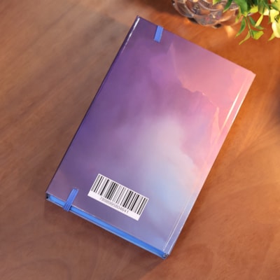 image_2c443da9-59cc-42a4-a677-6e8e75a89b93