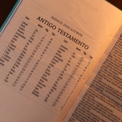 image_d83cb02f-f245-4f3e-b15c-b2f9d1bcb98c