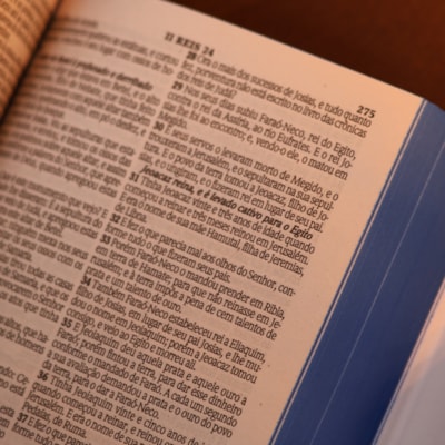 image_736190c0-e311-46ed-bfaa-78ddefcb817f