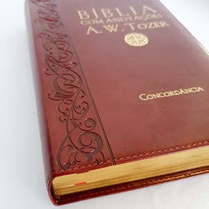 Bíblia Sagrada com Anotações A.W. Tozer | Letra Normal | ARC | Brochura Vinho