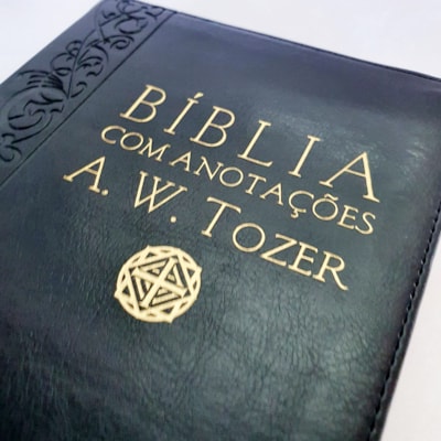 image_73a662bc-d22a-45c9-89bf-9eea0b910f2f