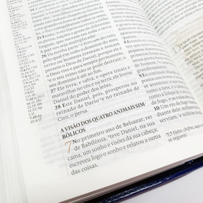 image_402879b3-a8f1-409c-83fd-d9527a5764cb