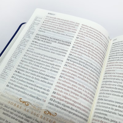 image_77b60a34-4b01-4b99-98d0-9bcf1f93d302