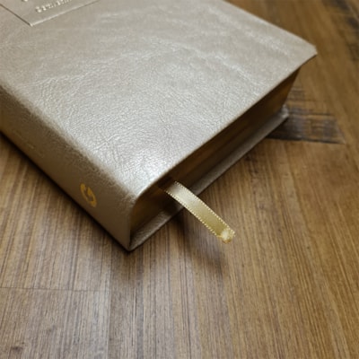 image_11a13239-2a80-4086-8c82-987488fe5769