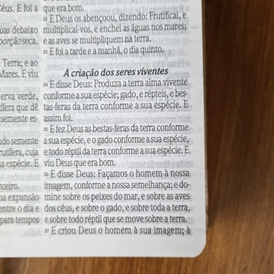 image_6a6a0320-b935-469f-8ad4-46c3aecd4455