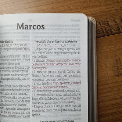 image_d0242511-be95-4062-aa9f-459cea609773