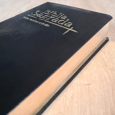 image_8c5afa2e-dd73-458b-b46e-70dc5f018598