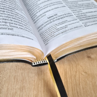 image_eb8d5802-1d28-491c-b37c-227e5ef4f6e0