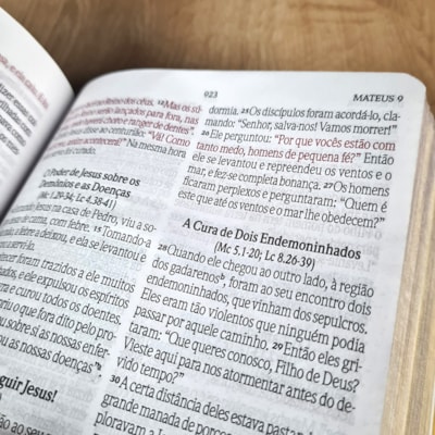 image_34a24488-00ed-4dce-9dd2-25d46a13d44b