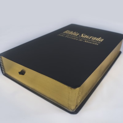 image_cfefb952-a558-4c82-99b4-8e6cc3bea703