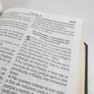 image_93d18705-3e60-4591-82df-300d5b33e9ba