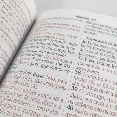 image_670e46d0-747e-41df-8d88-d83ec2b74401