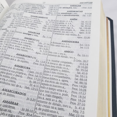 image_17a3ffe7-f0bf-4105-89dd-9959573ac1e9