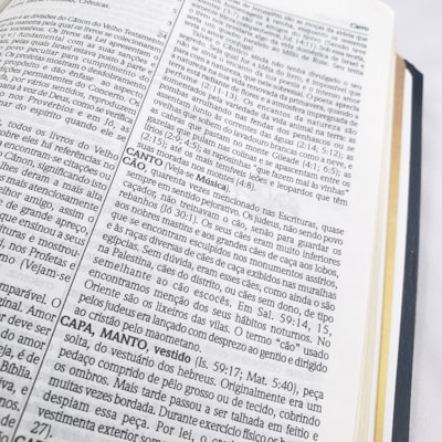 image_b26a1963-c04e-44eb-8a47-a264fdde2335