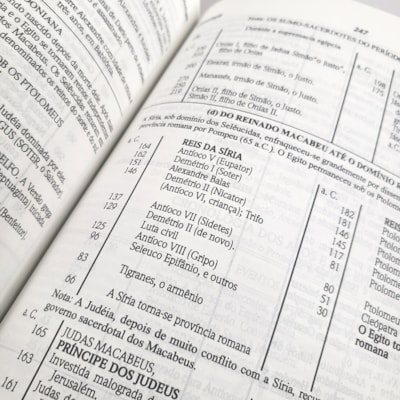 image_242f34bc-4d8a-4cf7-89b6-950ab6b94b13