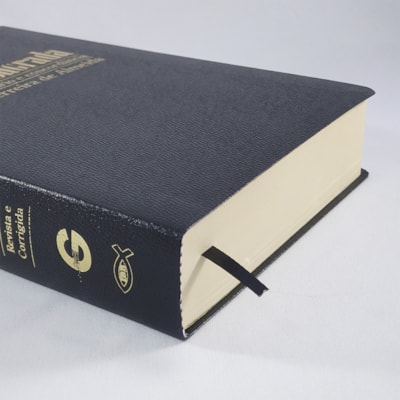 image_784da2ed-82d2-481e-984e-0a9311a1ba78