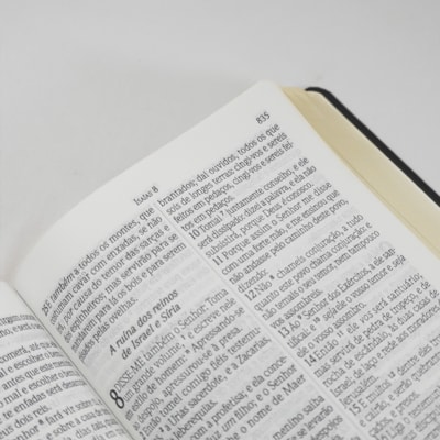 image_d184cd53-16ce-4c3d-b382-ec3dccbcdbf7