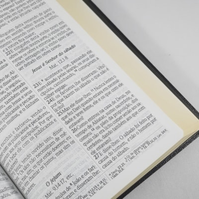 image_f0850b25-8f1e-4a85-9244-d9f91e74d026