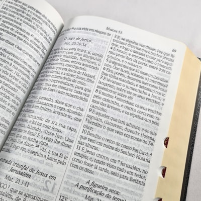 image_cdc24111-40d2-49d0-86af-6c06f7757301