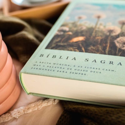 image_6527b323-dc39-4ed3-96f6-fa2c018485e4