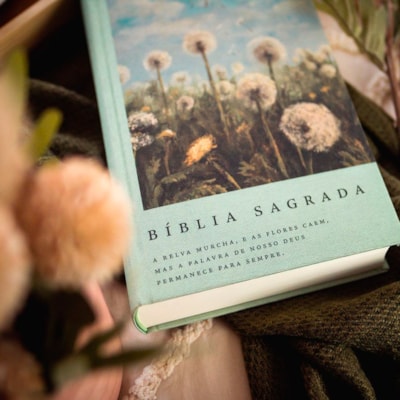 image_122640b9-7ba8-489b-91a0-81234ea2fa53