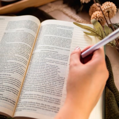 image_bdc6b3c8-6928-4e10-90da-4a8b0652d83c