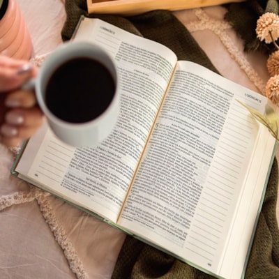 image_146980b8-a5a1-40a0-aff4-5bf79b24d1da