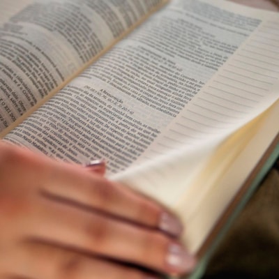 image_528ea71e-276a-4a46-b8a9-c21ed9ae7a76