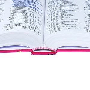 Bíblia Sagrada Com Fonte de Bênçãos | NTLH | Capa feminina